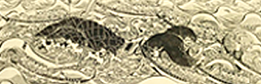Digital archives