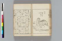 博物新編訳解（越中島図書館所蔵）