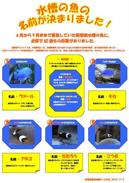 魚の名前発表